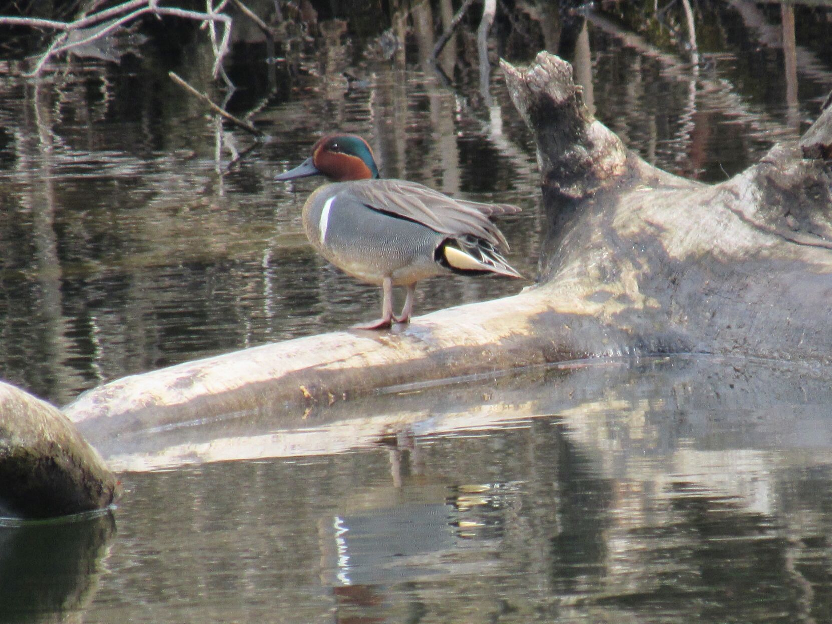 IMG_7402.JPG
